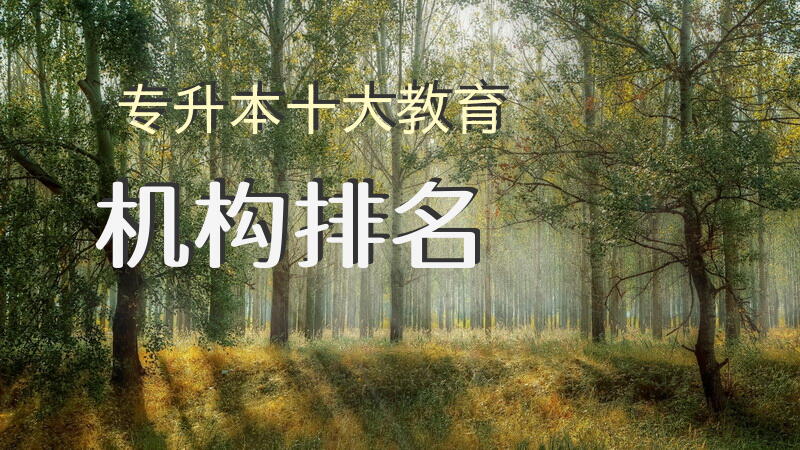 专升本十大教育机构排名