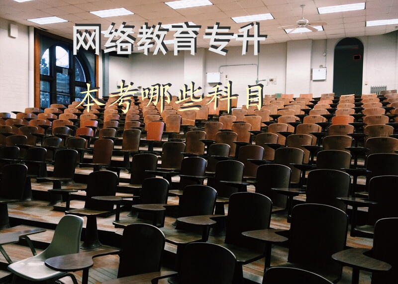 网络教育专升本考哪些科目