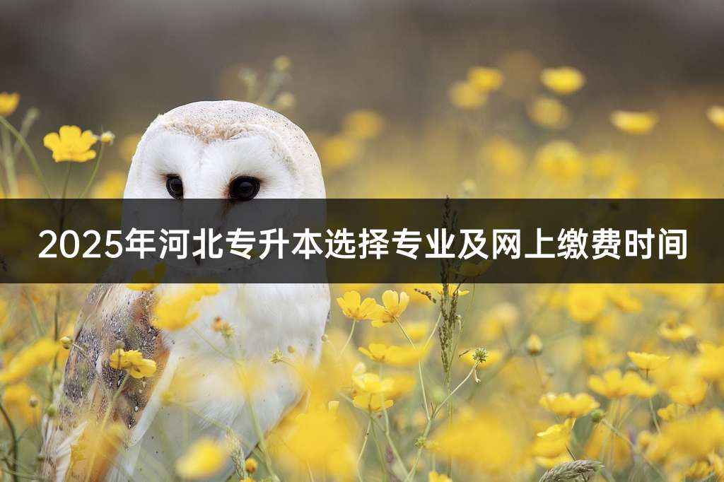 2025年河北专升本选择专业及网上缴费时间