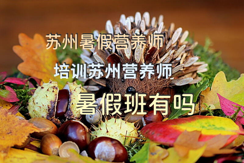 苏州暑假营养师培训苏州营养师暑假班有吗