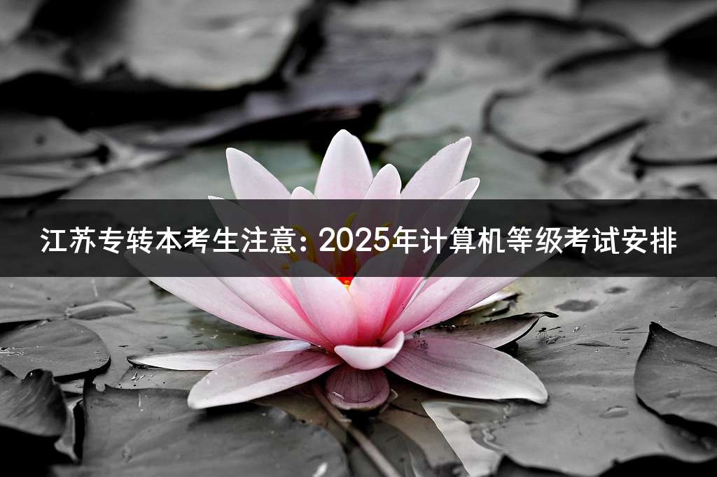 江苏专转本考生注意：2025年计算机等级考试安排
