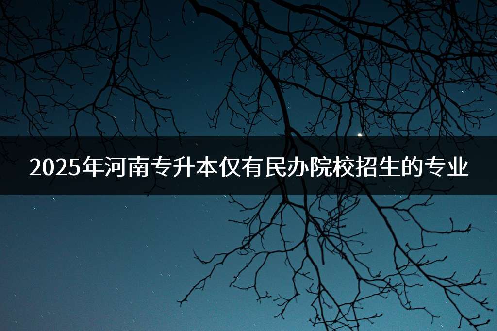 2025年河南专升本仅有民办院校招生的专业