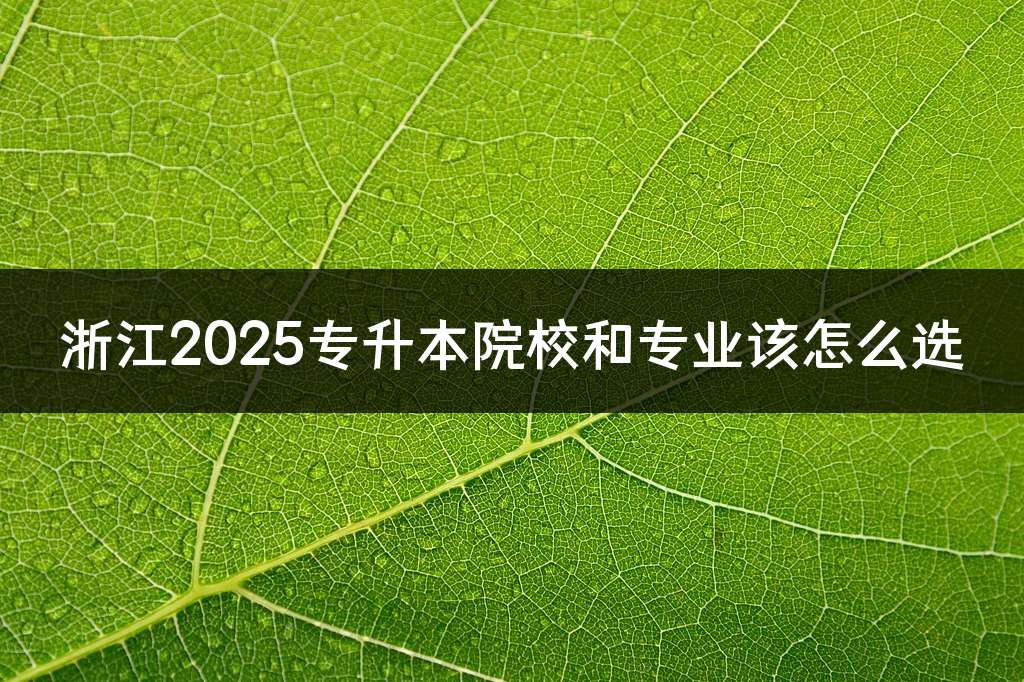浙江2025专升本院校和专业该怎么选