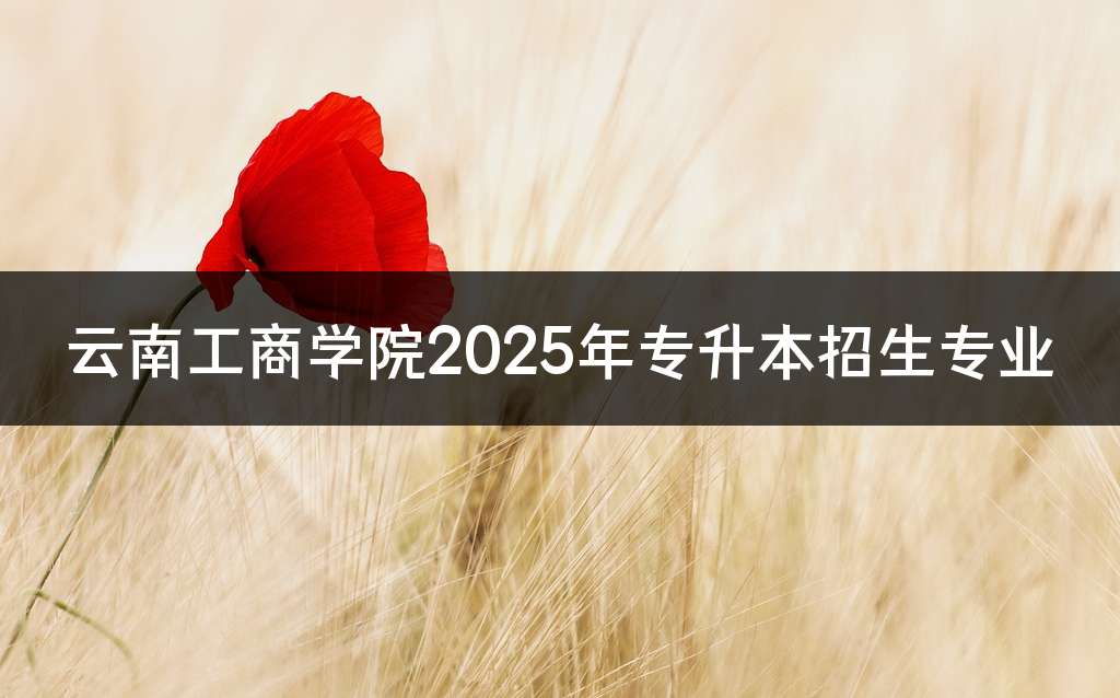 云南工商学院2025年专升本招生专业