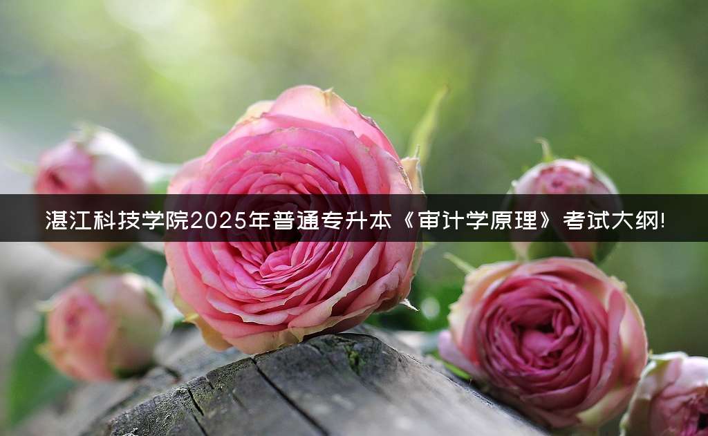 湛江科技学院2025年普通专升本《审计学原理》考试大纲!