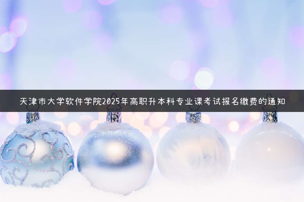 天津市大学软件学院2025年高职升本科专业课考试报名缴费的通知
