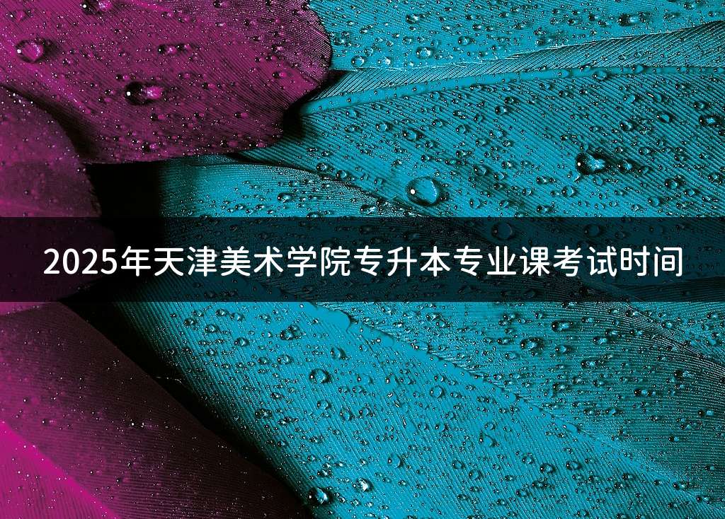 2025年天津美术学院专升本专业课考试时间