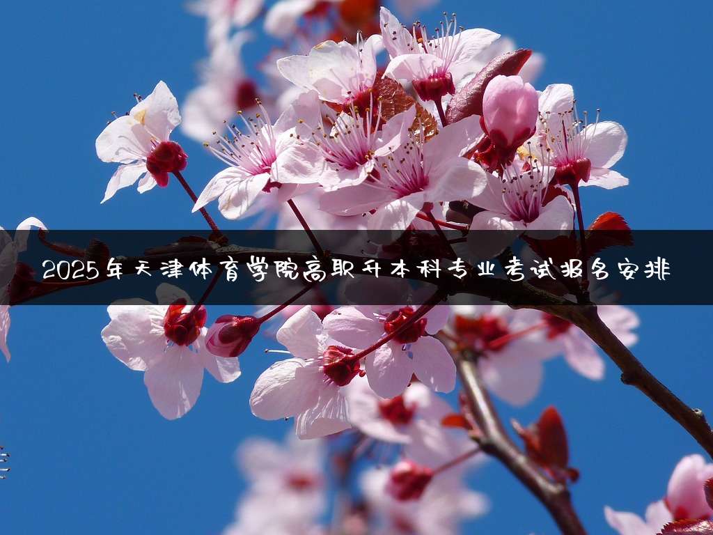2025年天津体育学院高职升本科专业考试报名安排