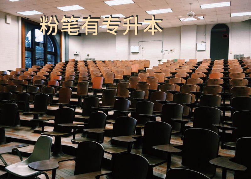 粉笔有专升本