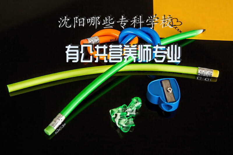沈阳哪些专科学校有“公共营养师”专业