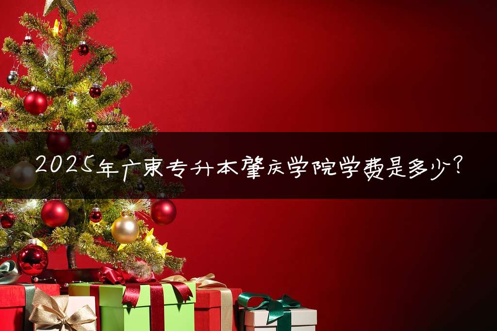 2025年广东专升本肇庆学院学费是多少?