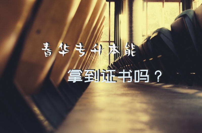 春华专升本能拿到证书吗？