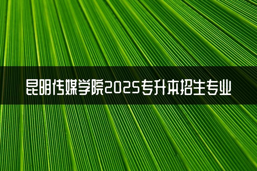 昆明传媒学院2025专升本招生专业