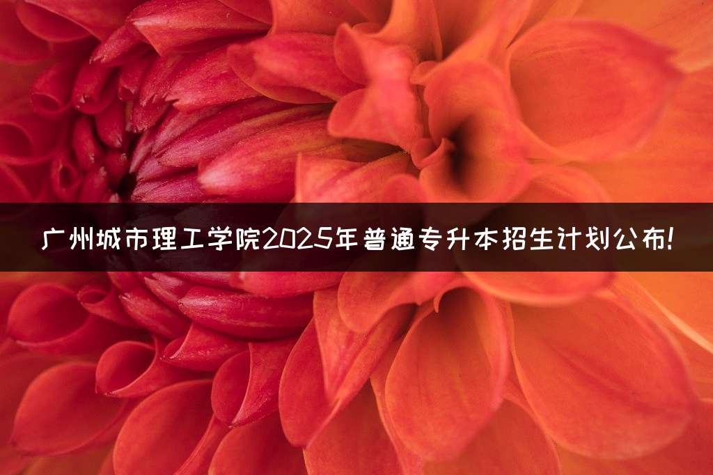 广州城市理工学院2025年普通专升本招生计划公布!