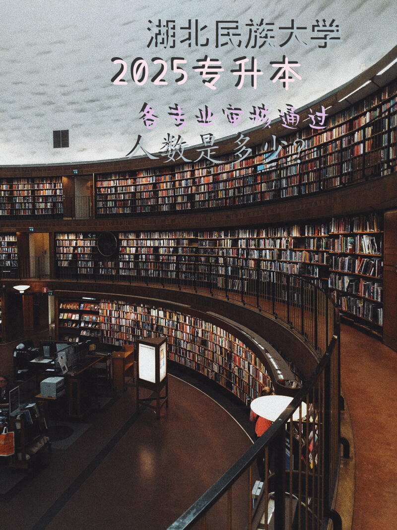 湖北民族大学2025专升本各专业审核通过人数是多少？