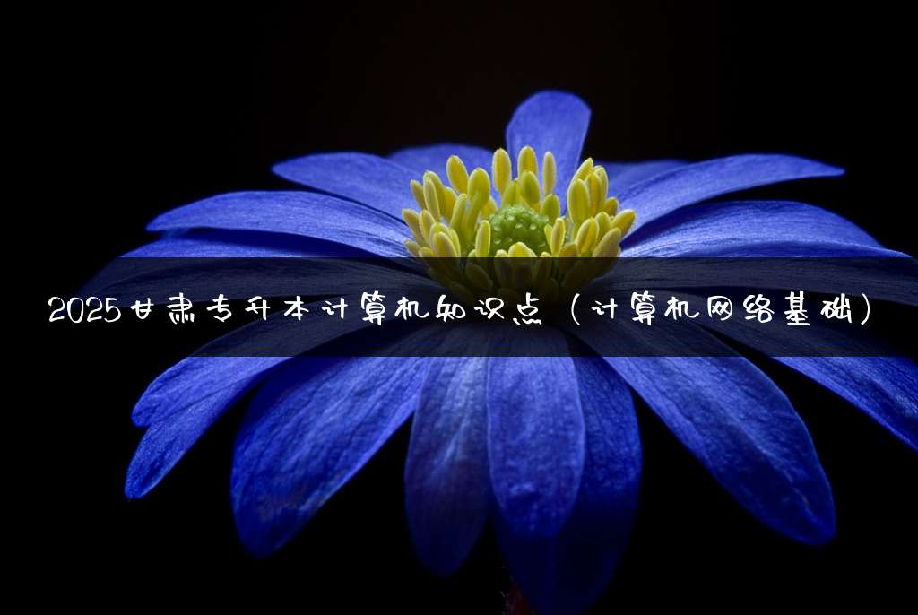 2025甘肃专升本计算机知识点（计算机网络基础）