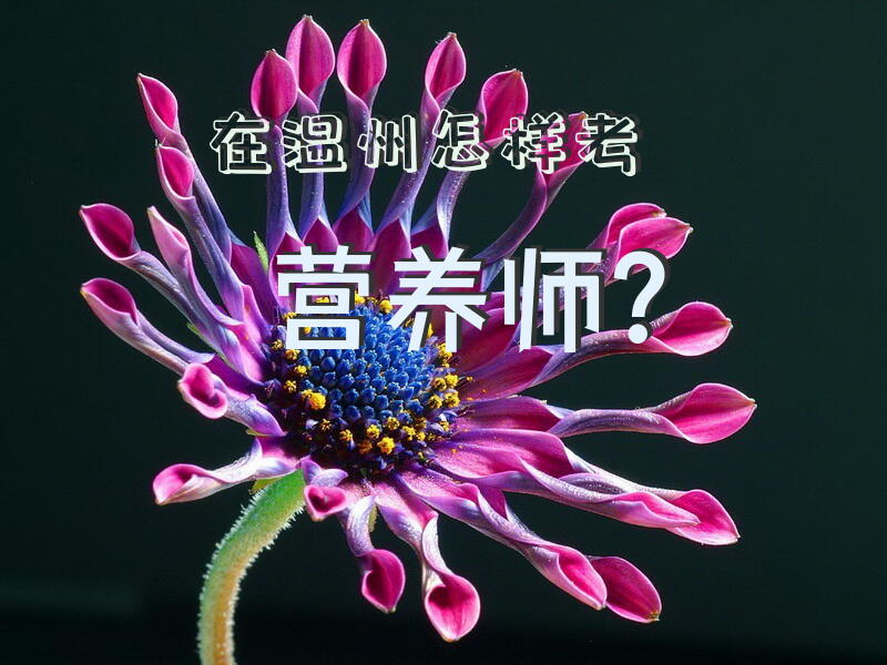 在温州怎样考营养师？