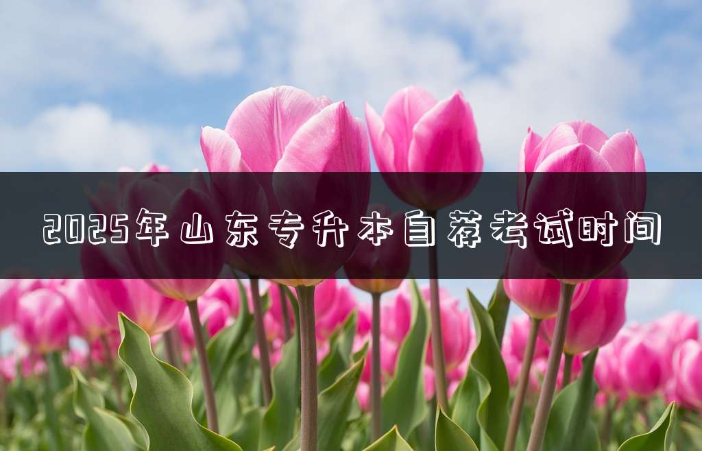 2025年山东专升本自荐考试时间