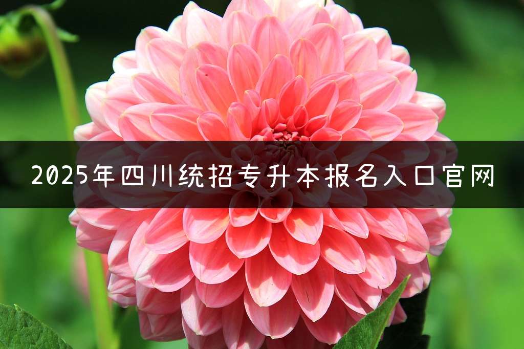 2025年四川统招专升本报名入口官网