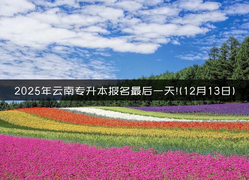 2025年云南专升本报名最后一天!(12月13日)