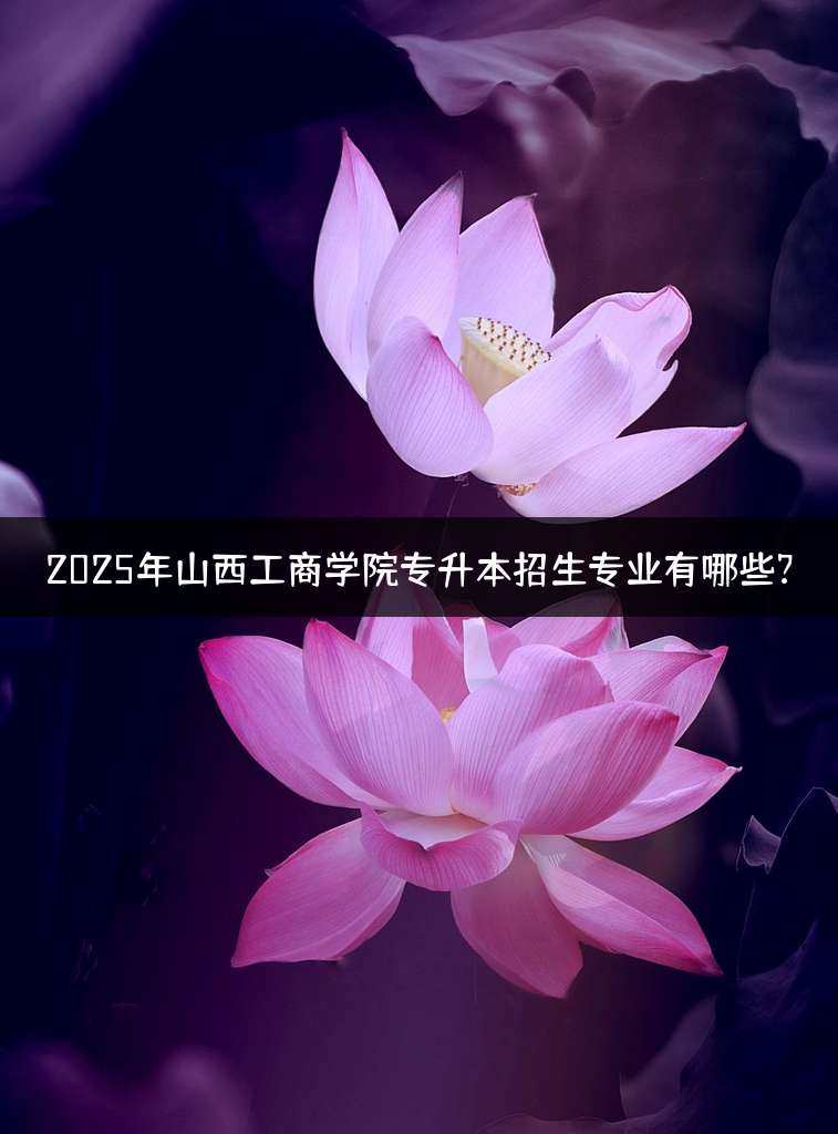 2025年山西工商学院专升本招生专业有哪些?