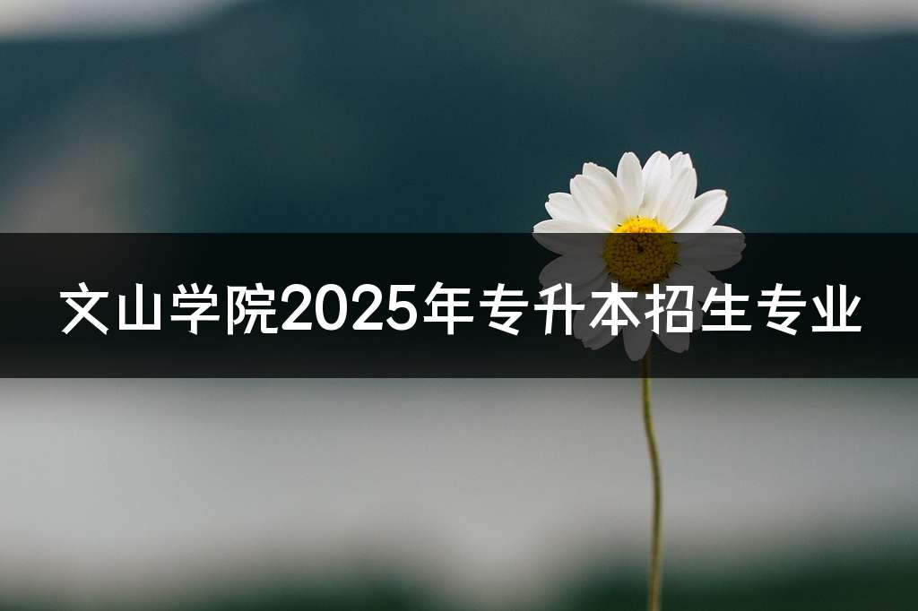 文山学院2025年专升本招生专业