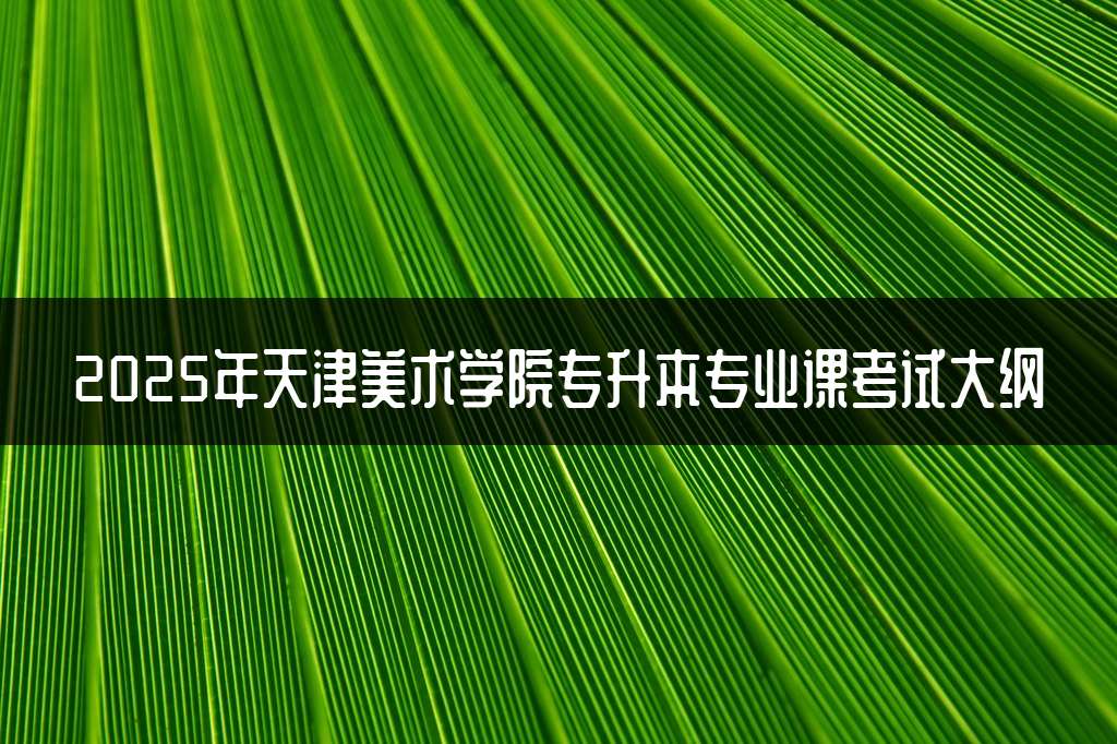 2025年天津美术学院专升本专业课考试大纲