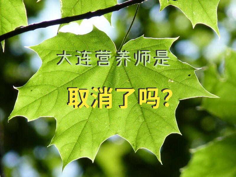 大连营养师是取消了吗？