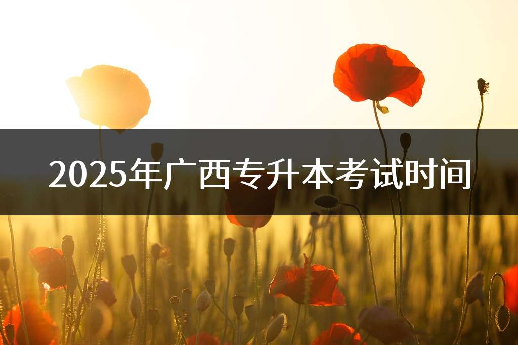 2025年广西专升本考试时间