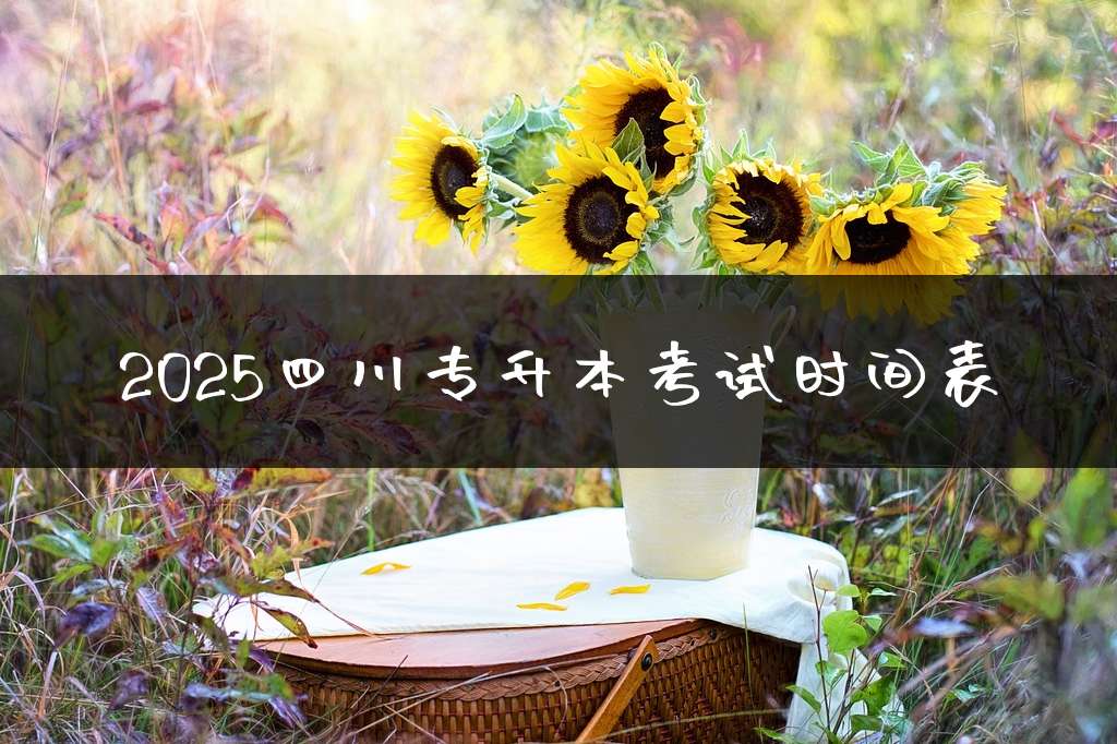 2025四川专升本考试时间表