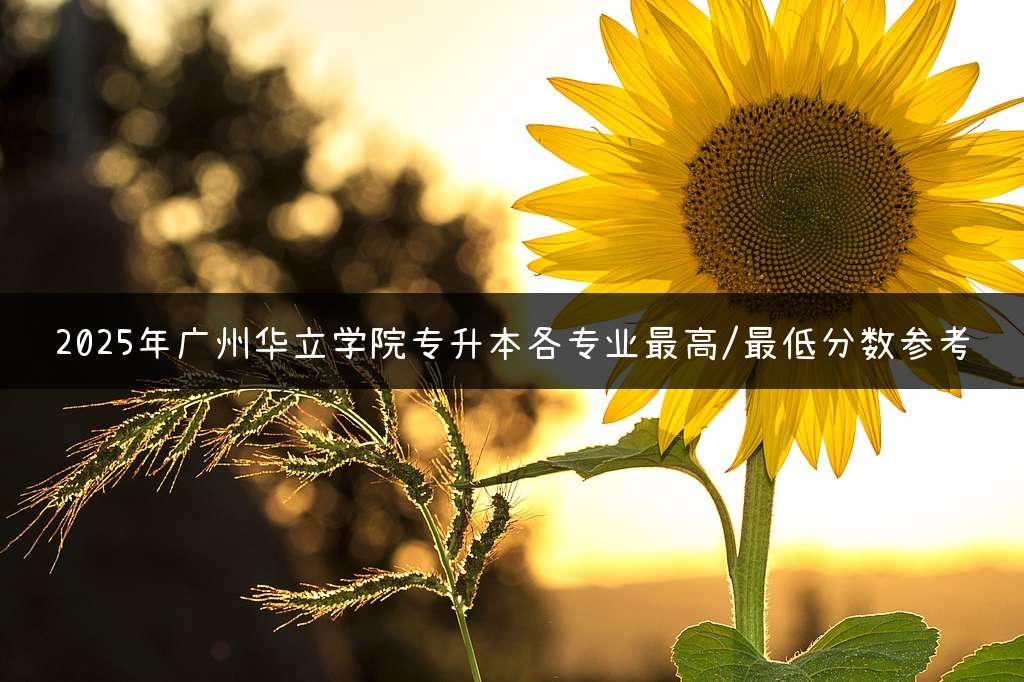 2025年广州华立学院专升本各专业最高/最低分数参考