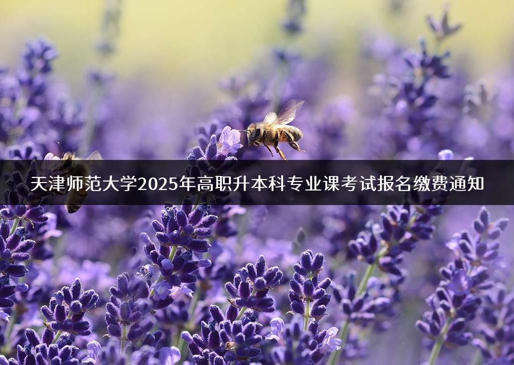 天津师范大学2025年高职升本科专业课考试报名缴费通知