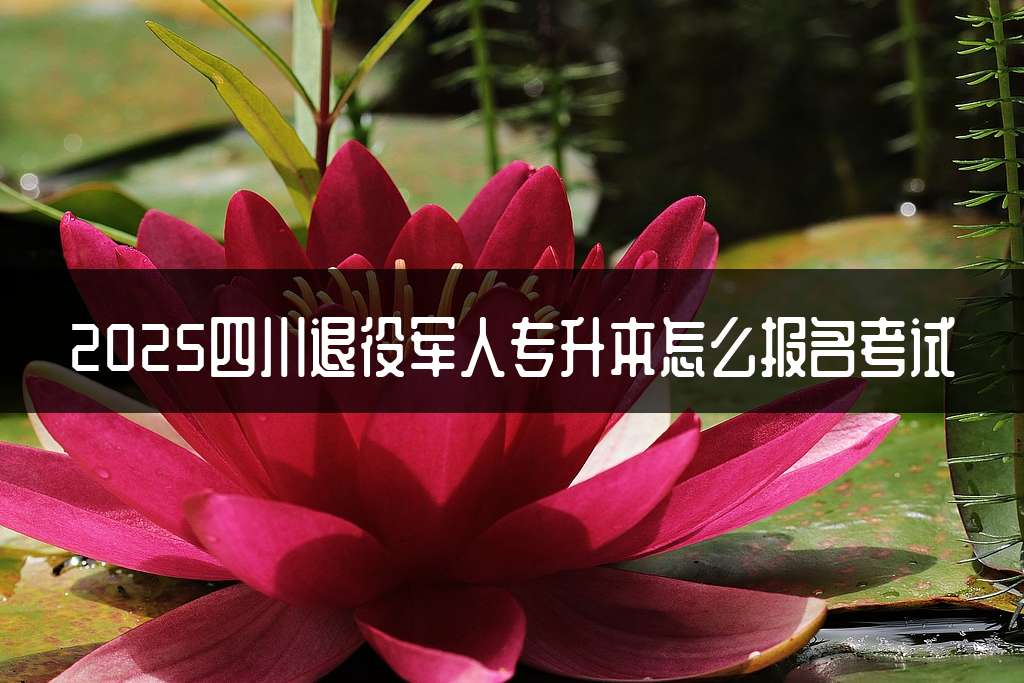 2025四川退役军人专升本怎么报名考试
