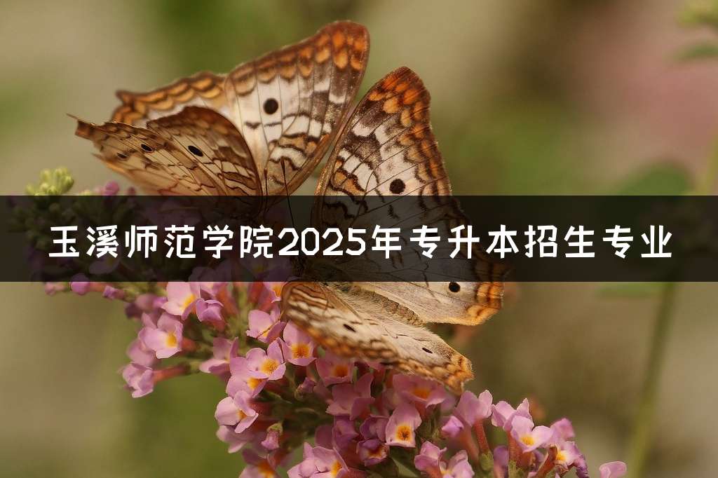 玉溪师范学院2025年专升本招生专业