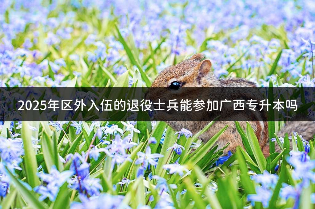 2025年区外入伍的退役士兵能参加广西专升本吗