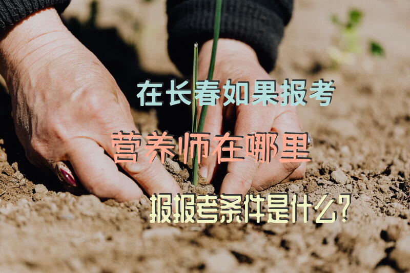 在长春如果报考营养师，在哪里报，报考条件是什么？