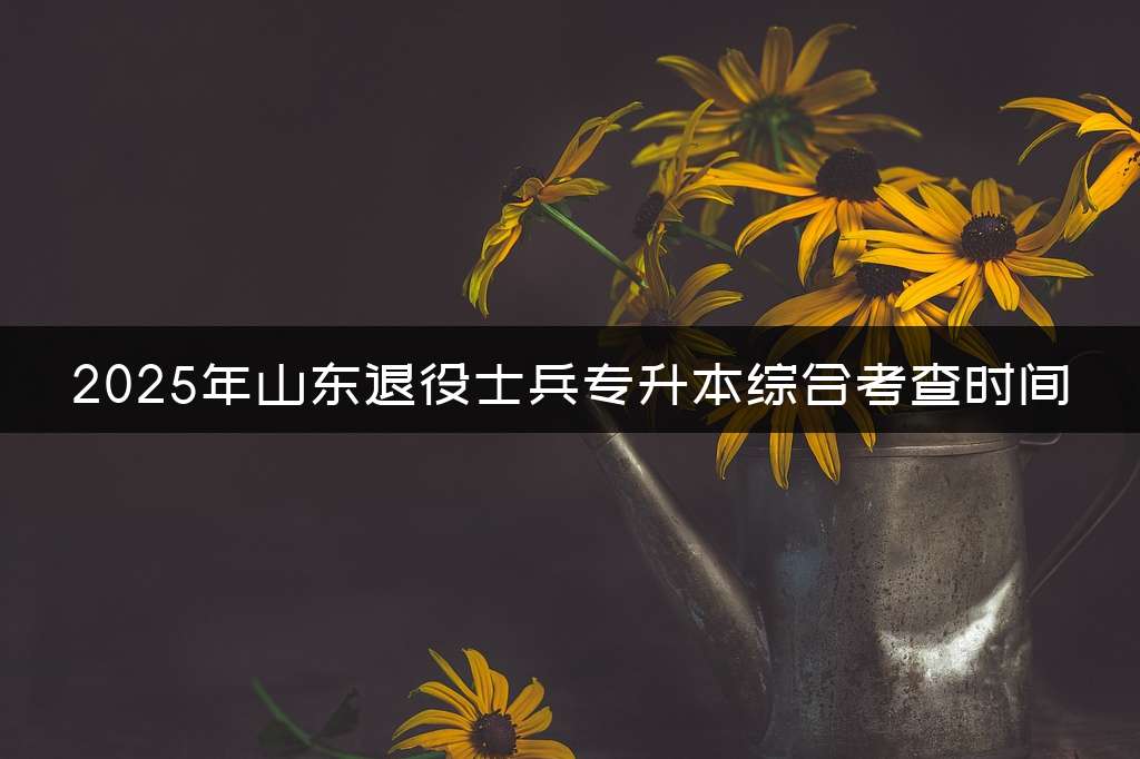 2025年山东退役士兵专升本综合考查时间