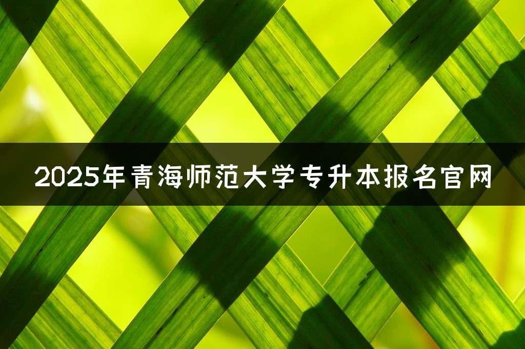 2025年青海师范大学专升本报名官网