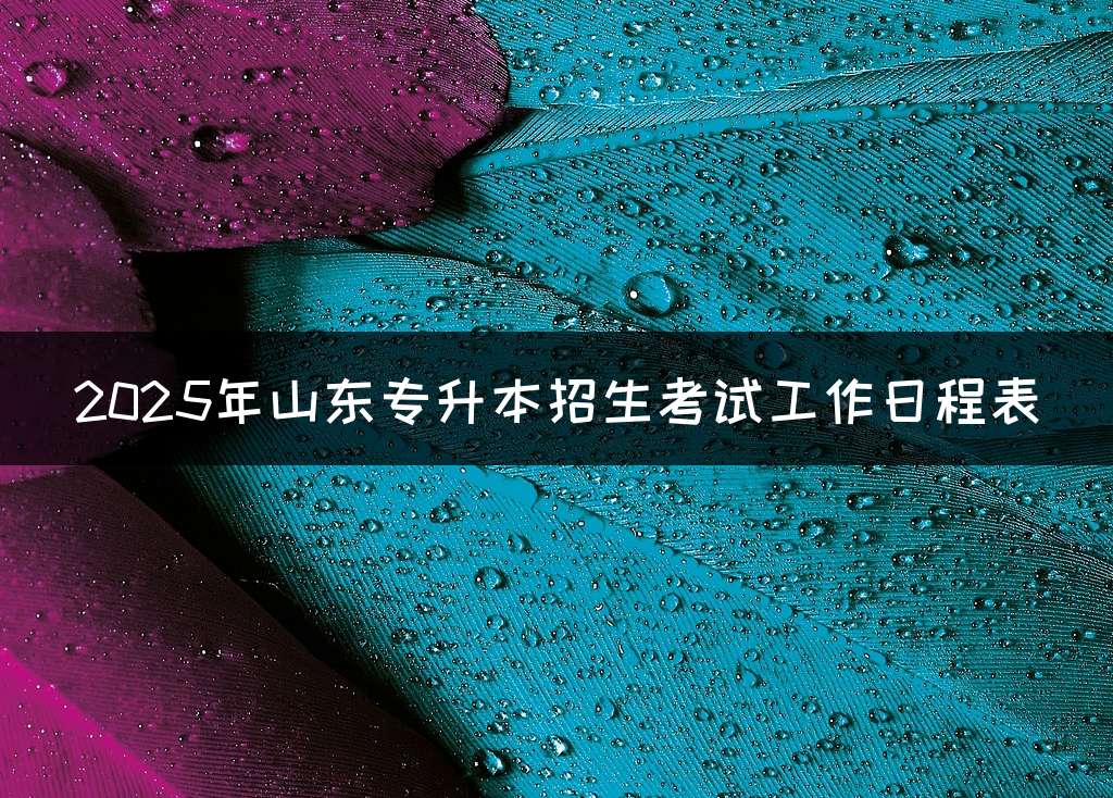 2025年山东专升本招生考试工作日程表