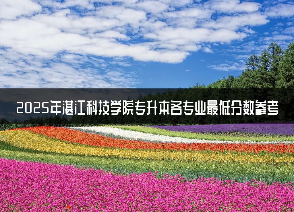 2025年湛江科技学院专升本各专业最低分数参考