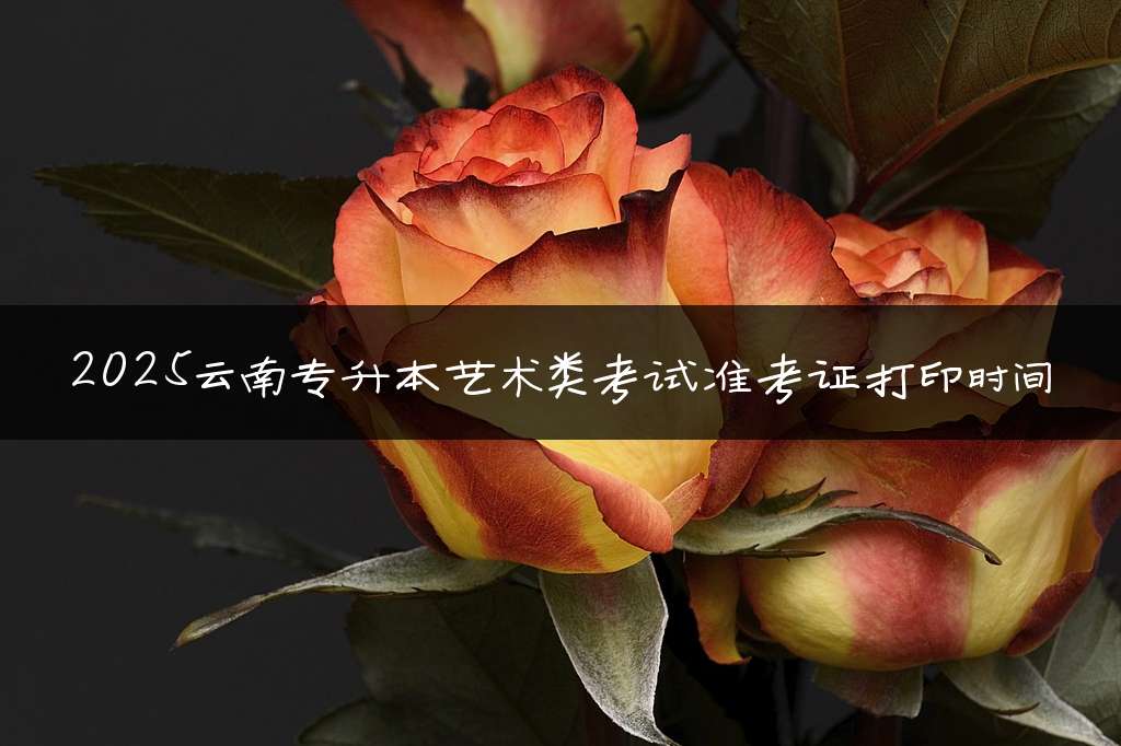 2025云南专升本艺术类考试准考证打印时间