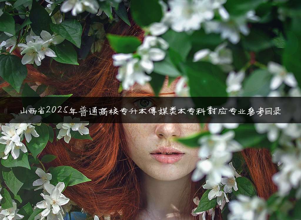 山西省2025年普通高校专升本传媒类本专科对应专业参考目录