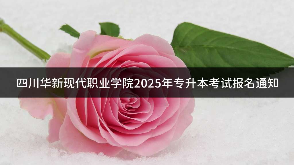 四川华新现代职业学院2025年专升本考试报名通知