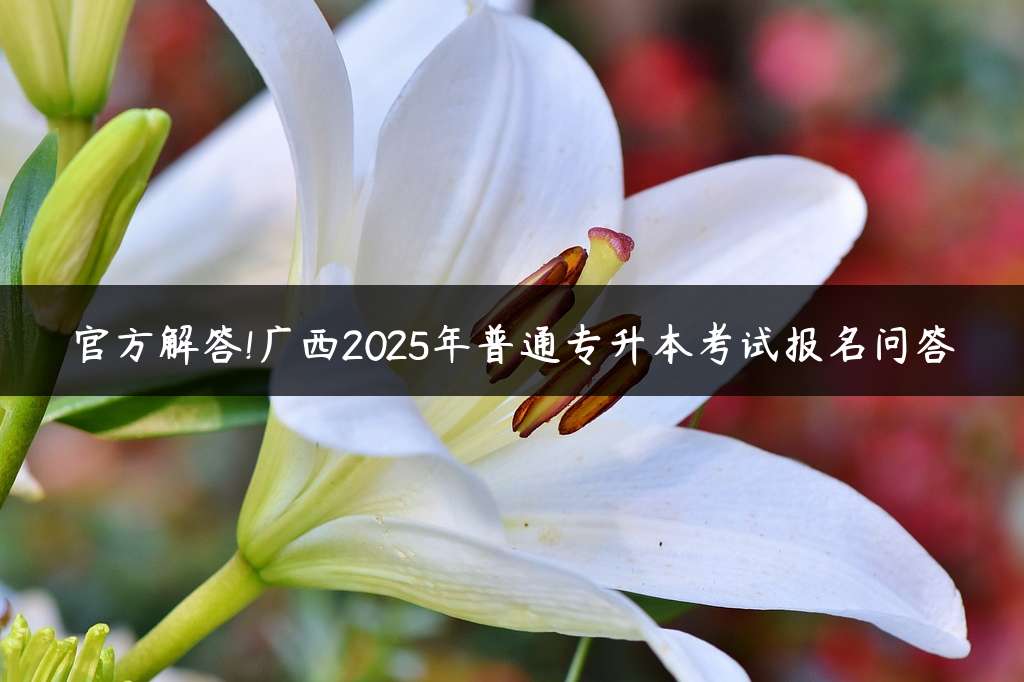 官方解答!广西2025年普通专升本考试报名问答