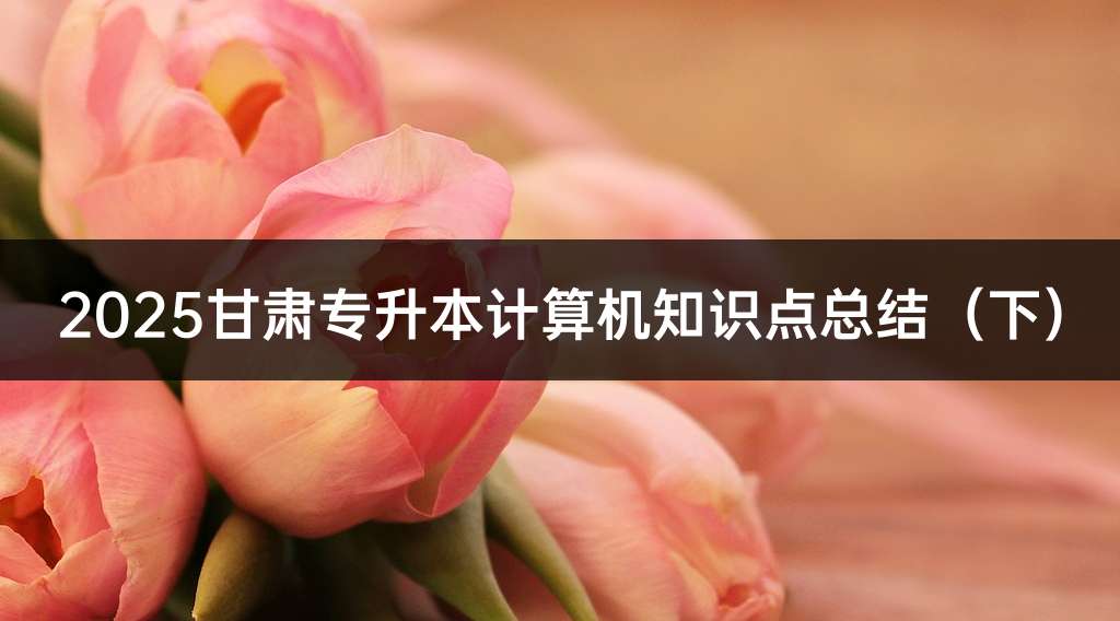 2025甘肃专升本计算机知识点总结（下）