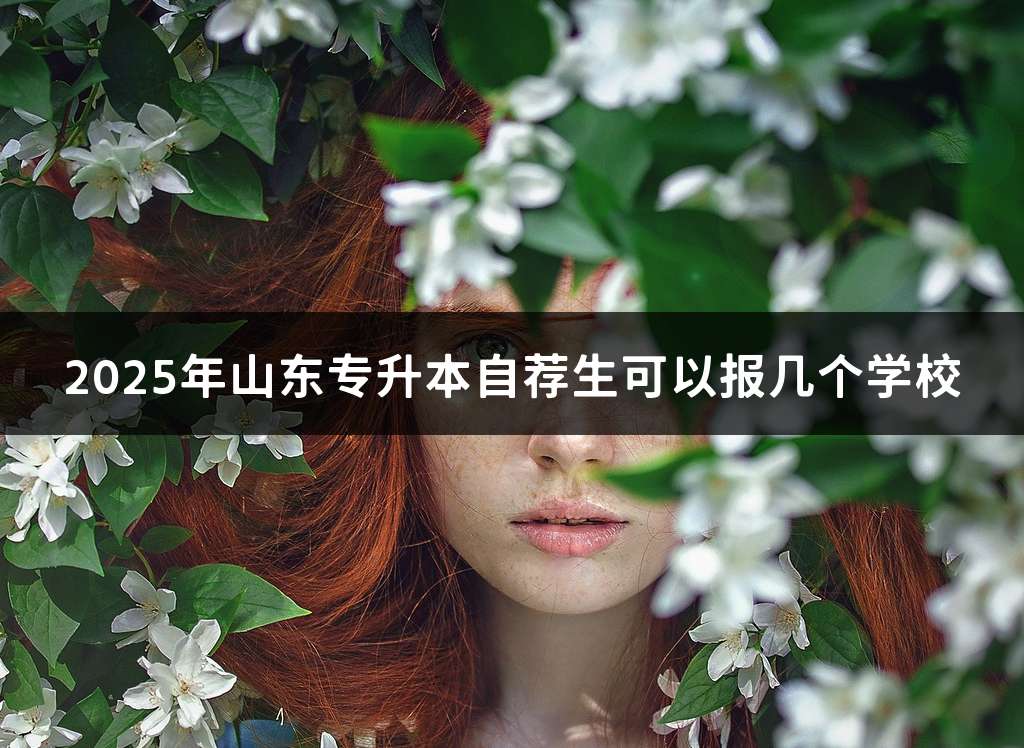 2025年山东专升本自荐生可以报几个学校