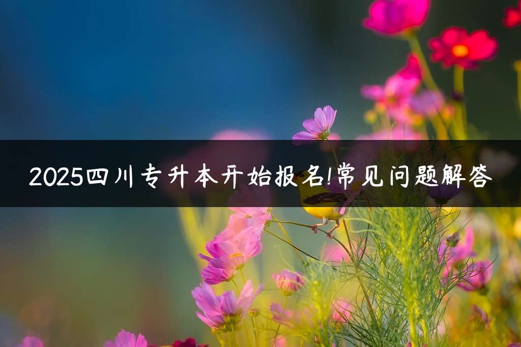 2025四川专升本开始报名!常见问题解答