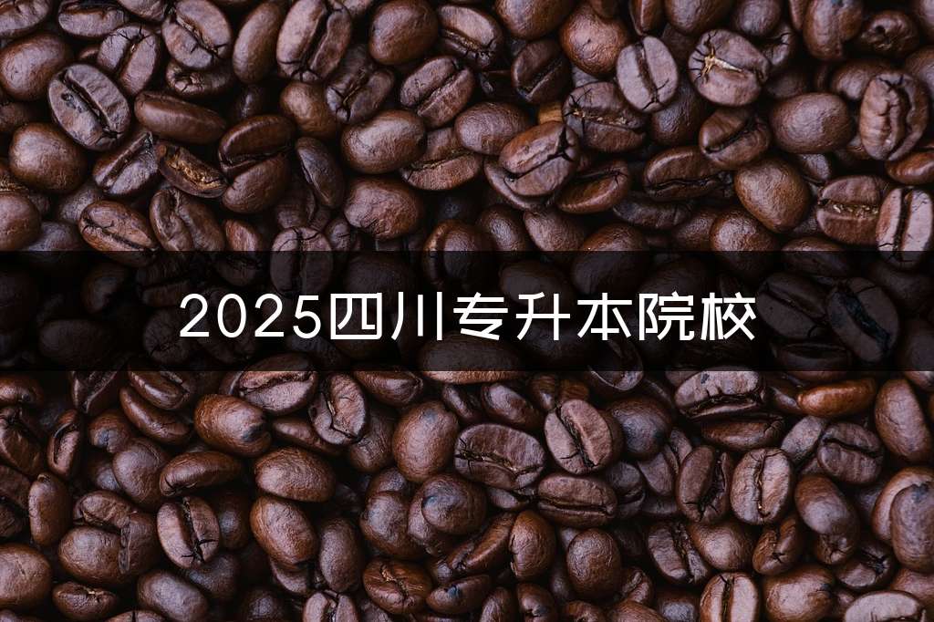 2025四川专升本院校