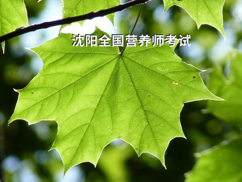 沈阳全国营养师考试