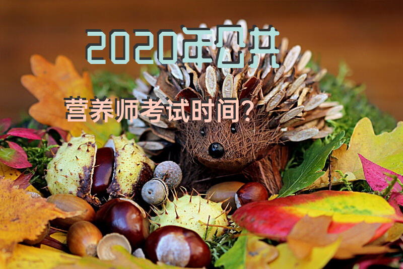 2020年公共营养师考试时间？
